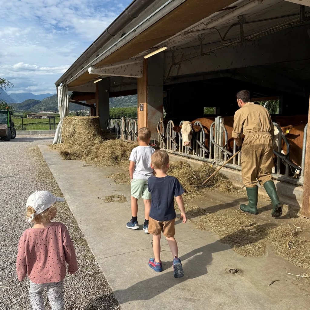 Kinder besuchen die Kühe auf dem Bauernhof des Agricamping Agrisalus im Trentino – Bauernhofurlaub mit Kindern.