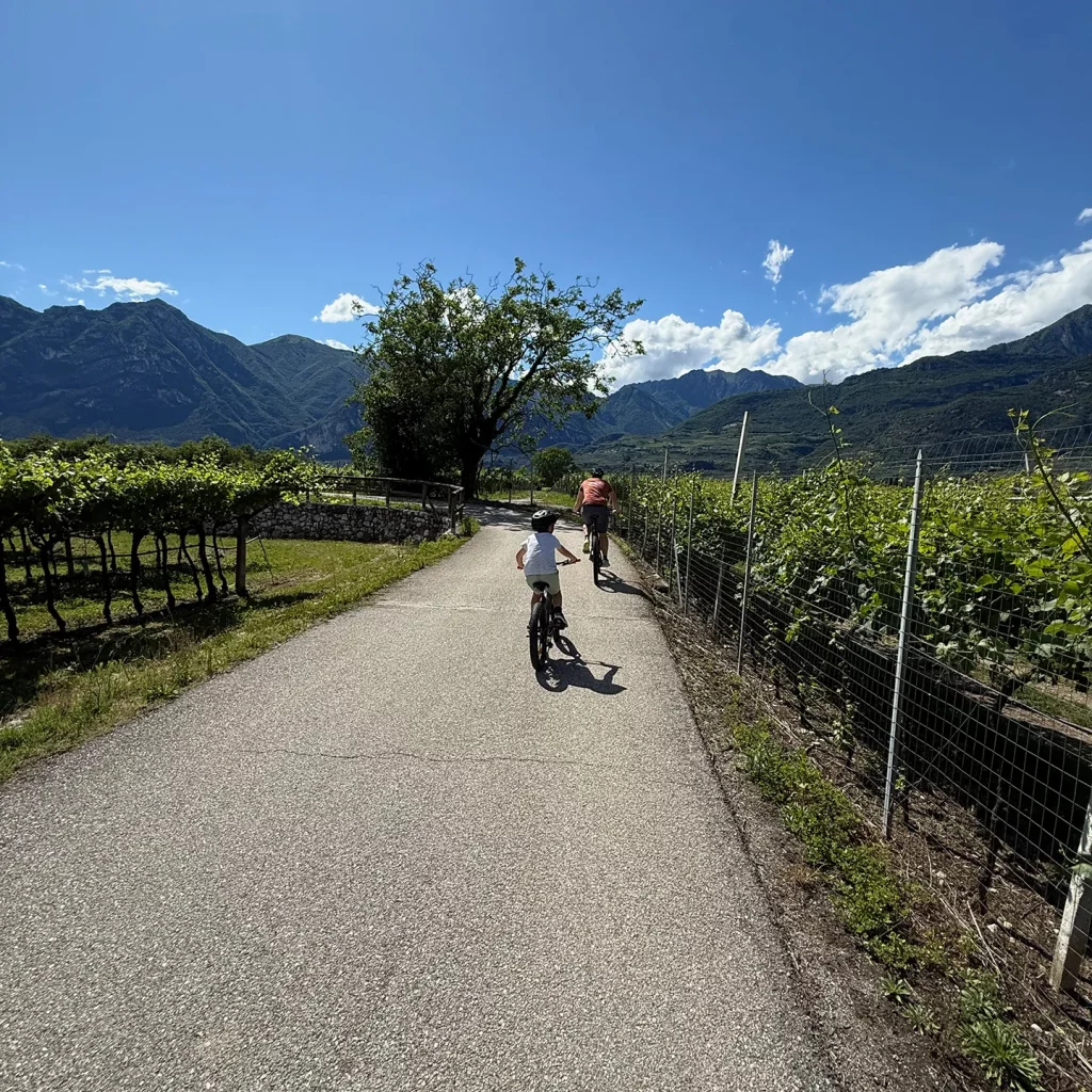Familie mit Kindern auf einer Radtour zwischen Weinbergen beim Agricamping Agrisalus in Italien