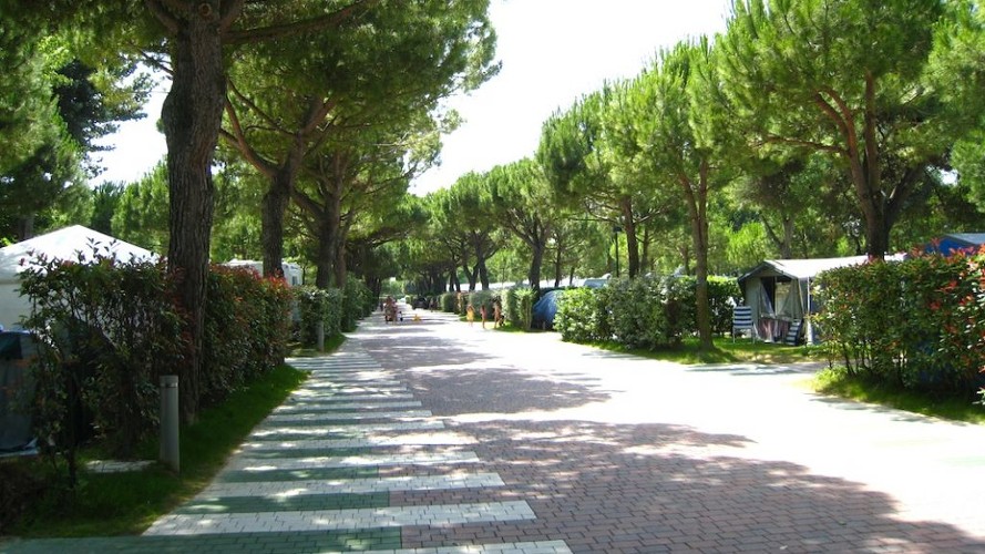 Camping Jesolo International schattige Allee auf dem Campingplatz